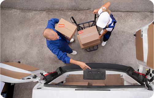 Бесплатная доставка  при заказе от 10 000 руб.